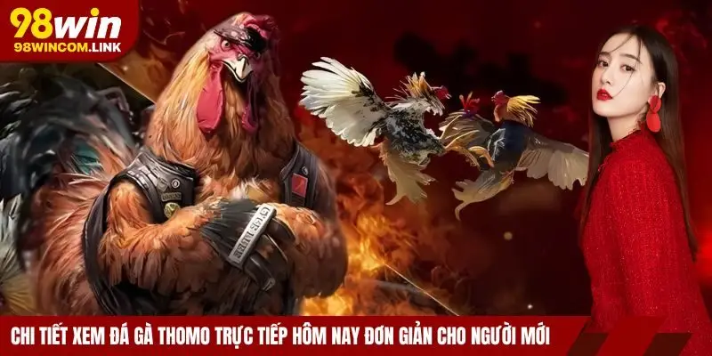 chi-tiet-xem-da-ga-thomo-truc-tiep-hom-nay