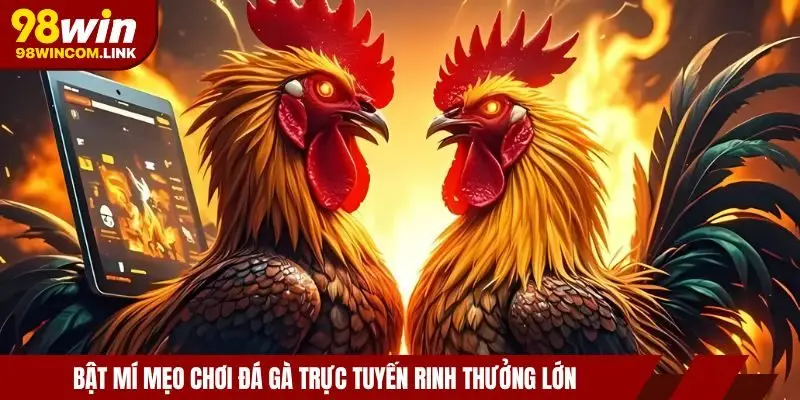 da-ga-98win-meo-cuoc