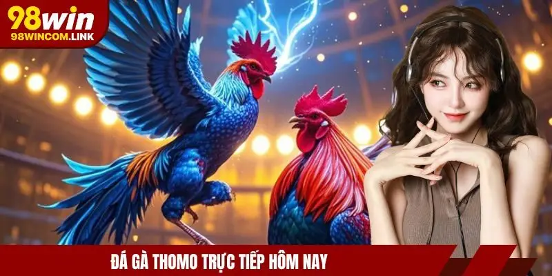 da-ga-thomo-truc-tiep-hom-nay