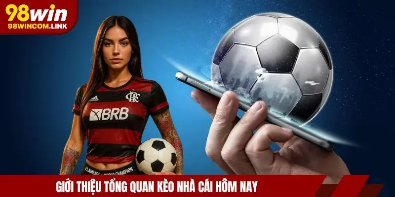 keo-nha-cai-hom-nay-tong-quan