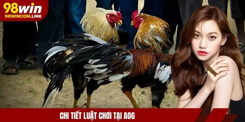 sanh-da-ga-aog-luat-choi