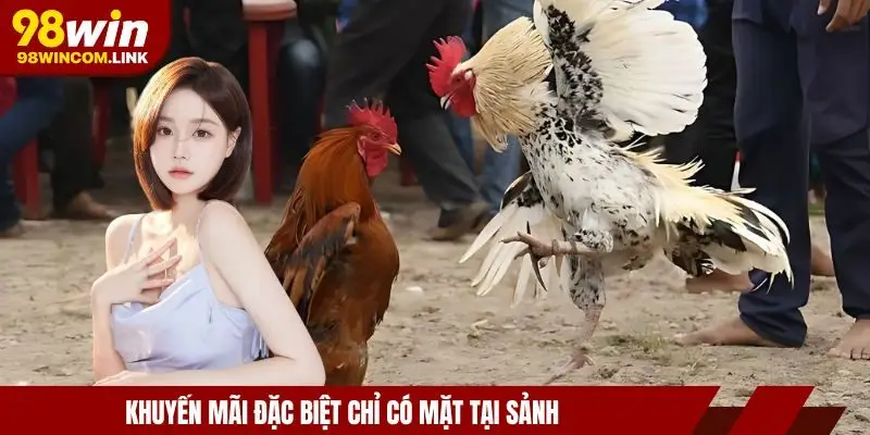 sanh-da-ga-aog-uu-dai