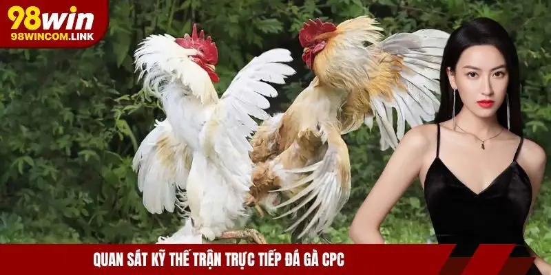 truc-tiep-da-ga-cpc-quan-sat-ky